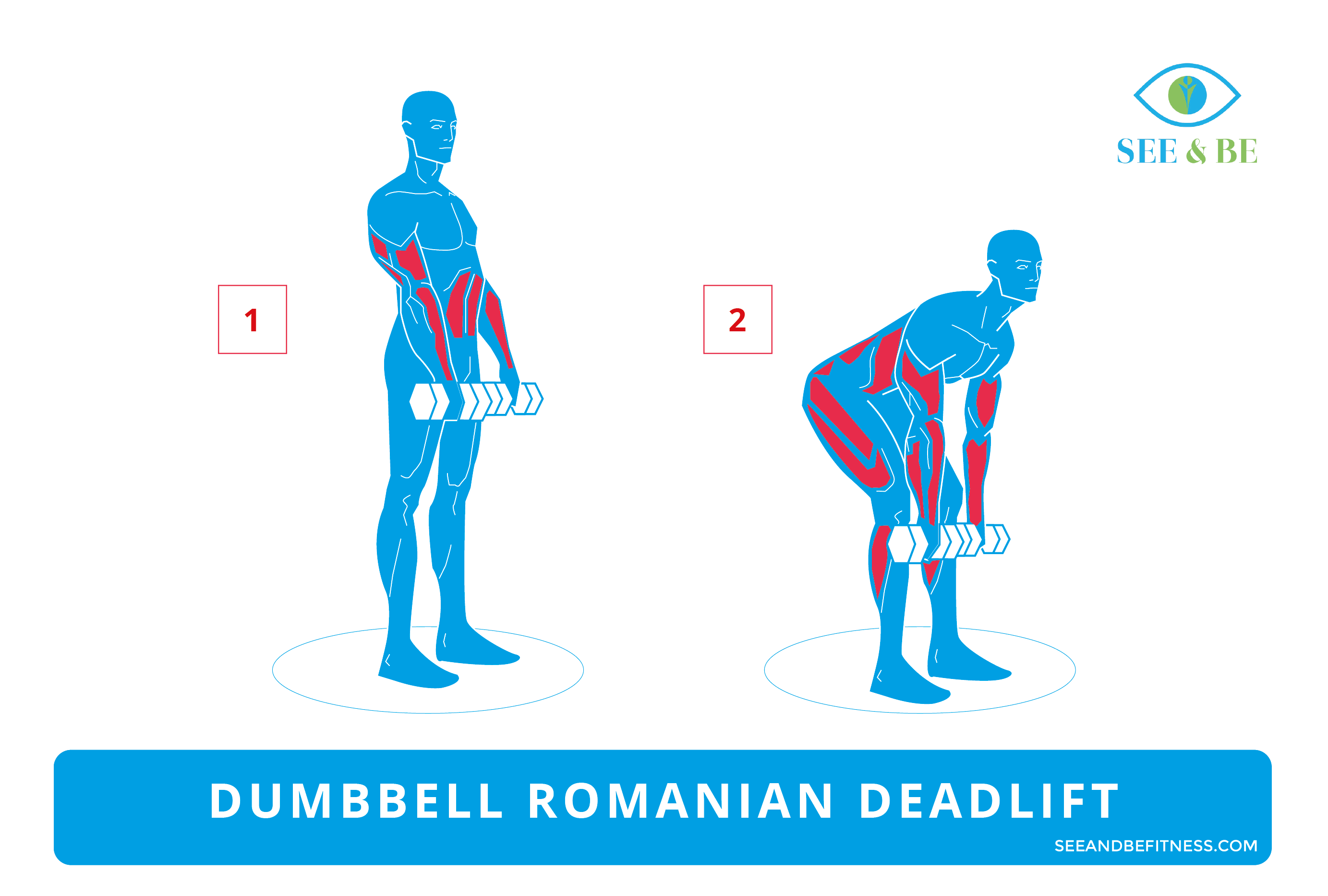 Dumbbell on sale romanian deadlift